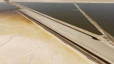 Aerial view of a vast salt flat landscape where lithium brine deposits are found