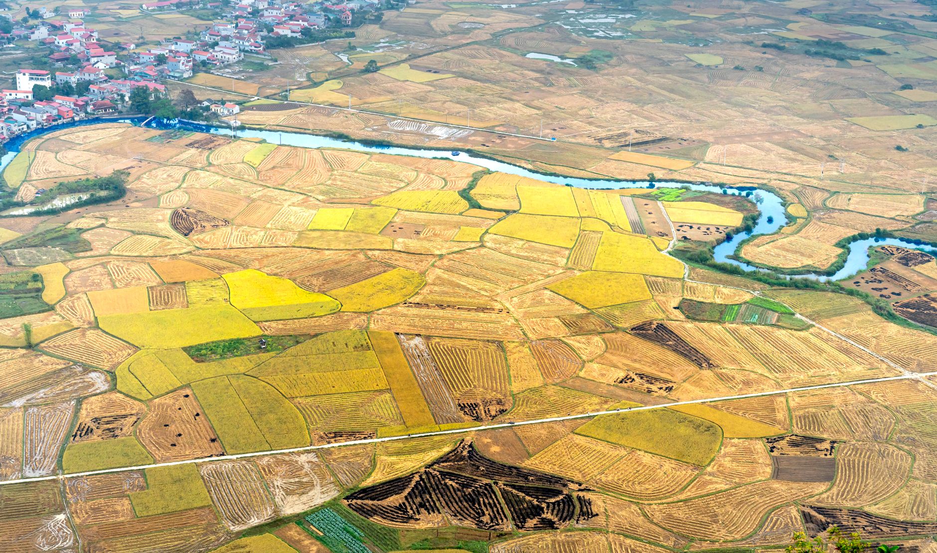 Aerial view of Midwest farmland showing agricultural corridors