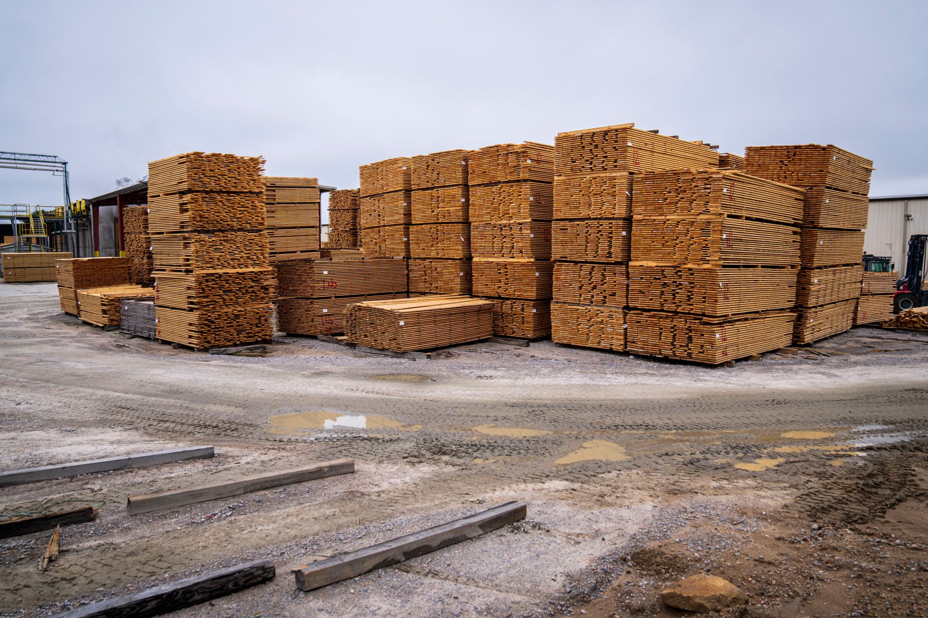 Stacked cut lumber logs at a timber processing facility