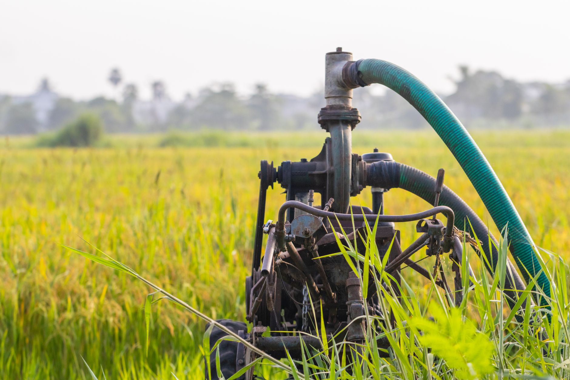 Crude oil pump jack operating in an open field representing oil royalty income streams