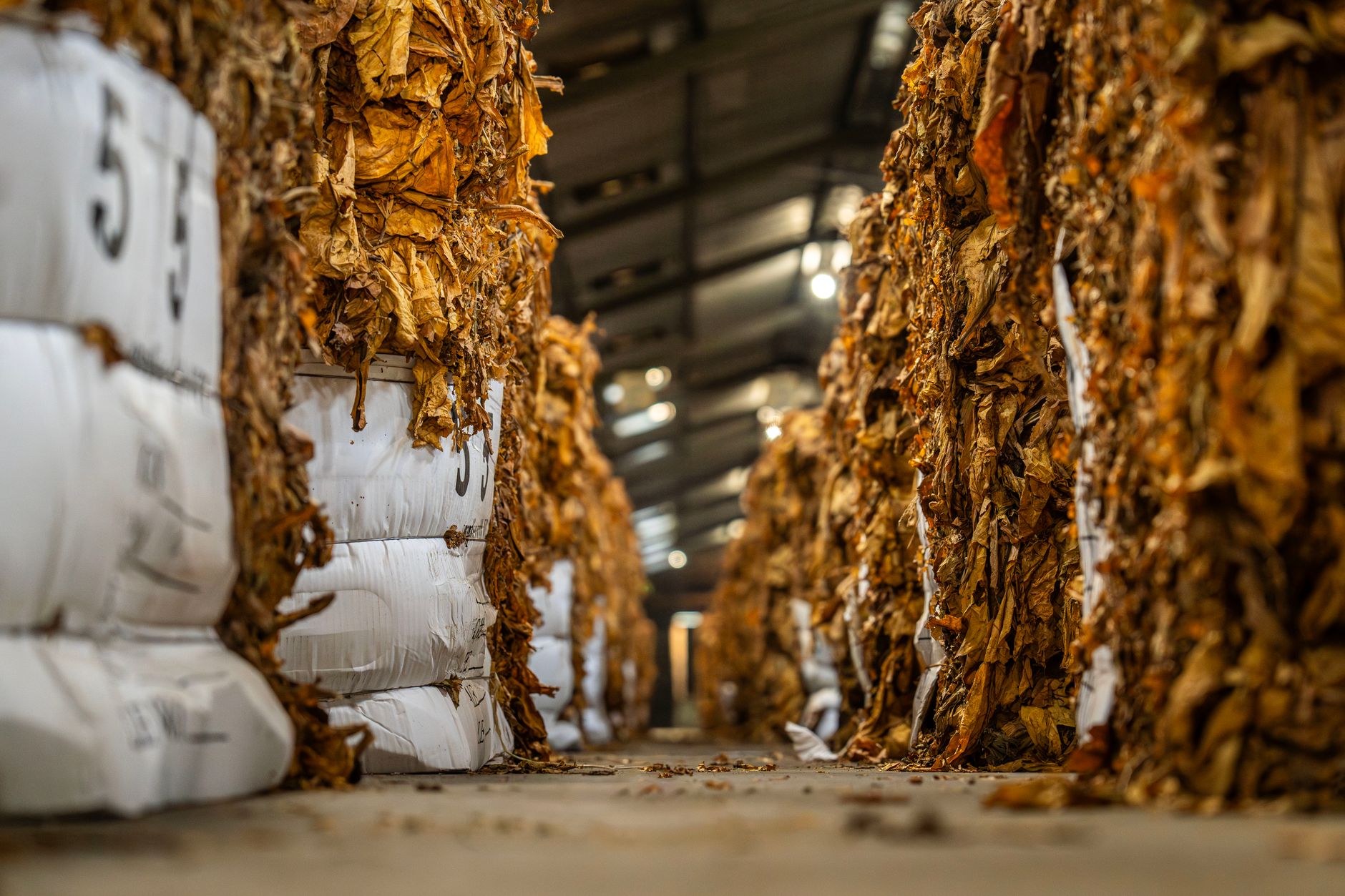 Large commodity storage warehouse representing bulk material supply chain infrastructure