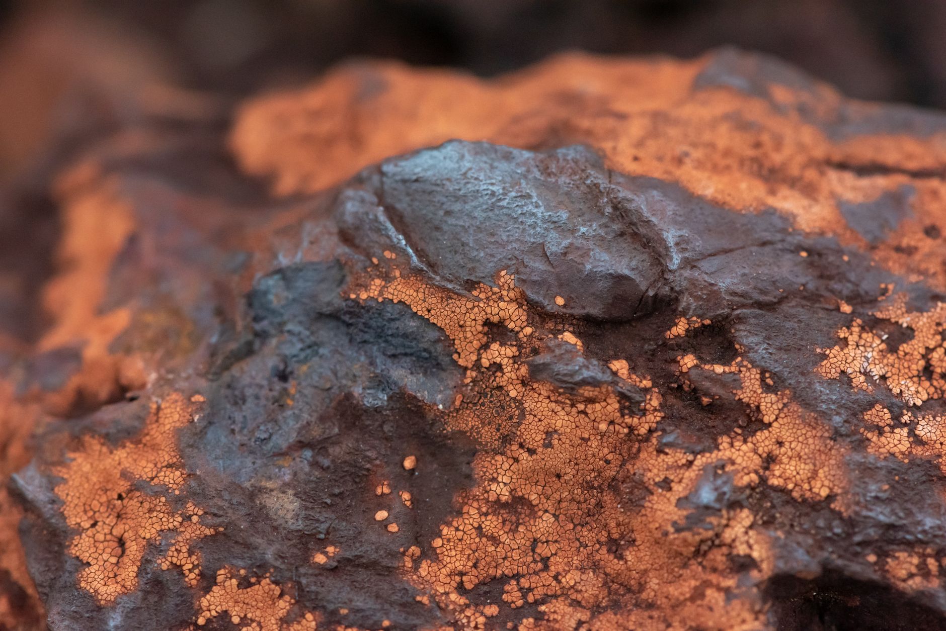 Close-up of raw mineral samples used in battery manufacturing